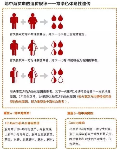 地贫最新疗法迈向精准医疗的未来突破传统治疗局限